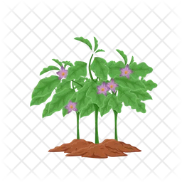 Eggplant Tree  Icon