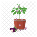 Eggplant Tree  Symbol