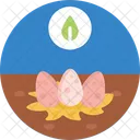 Bio Food And Agriculture Eggs Poultry Icon
