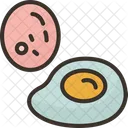 Eggs Food Protein Icon