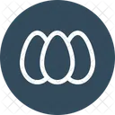 Eggs Poultry Eggs Tray Icon