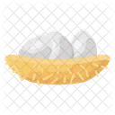 Eggs Nest  Icon