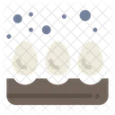 Eggs Tray  Icon