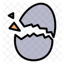 Eggshell Egg Food Icon