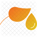 Egyptian lotus  Icon
