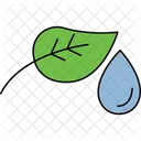 Egyptian lotus  Icon
