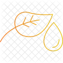Egyptian lotus  Icon