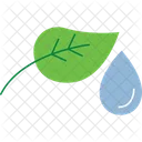 Egyptian lotus  Icon