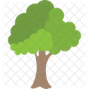 Rund Baum Wald Symbol