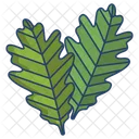 Eichenblatt  Icon