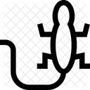 Eidechse Araber Araberin Symbol