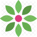 Eight Pointed Flower  Icon