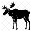 Kaukasischer Elch Tier Fauna Symbol