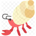 Einsiedlerkrebs  Symbol