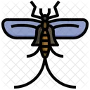 Eintagsfliege  Symbol