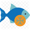 Eis Gefrorener Kalter Fisch Symbol