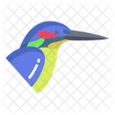 Eisvogel Vogel Vogel Symbol