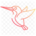 Konigsfischervogel Fischervogel Vogel Symbol
