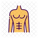 Ejercicio Abdominal Six Pack Six Pack Abs Icono