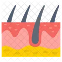 El vello corporal  Icono