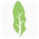 Elaeagnus Angustifolia Leaf  Icon