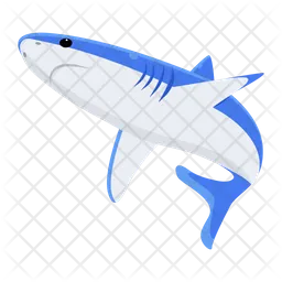 Elasmobranch Fish  Icon