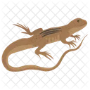 Elasmosaurus Lizard Reptile Geckos Icon