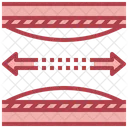 Elasticity  Icon