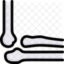 Elbow Bone  Icon