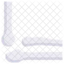 Anatomy Organ Biology Icon