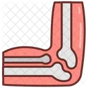 Elbow Bone Elbow Joint Medial Epicondyle Symbol