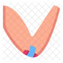 Elbow Wound Elbow Injury Laceration Icon