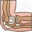 Elbow Joint  Icon