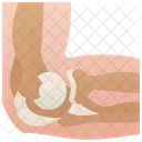 Elbow Joint Elbow Joint Icon