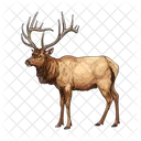 Elch Hirsch Tier Symbol
