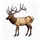 Elch Hirsch Tier Symbol