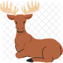 Elch Tier Tierwelt  Symbol