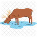 Elch-Trinkwasser  Symbol
