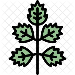 Elder leaf  Icon
