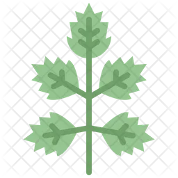 Elder leaf  Icon