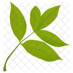 Elder Leaves Icon