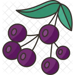 Elderberry  Icon