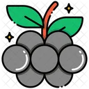 Elderberry Icon