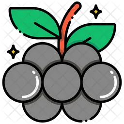 Elderberry  Icon