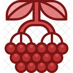 Elderberry  Icon