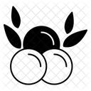 Elderberry Icon