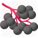 Elderberry Vitamin Grape Icon