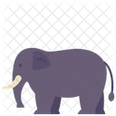 Elefant  Symbol