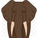 Elefant  Symbol