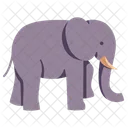 Plano Elefante Ícone